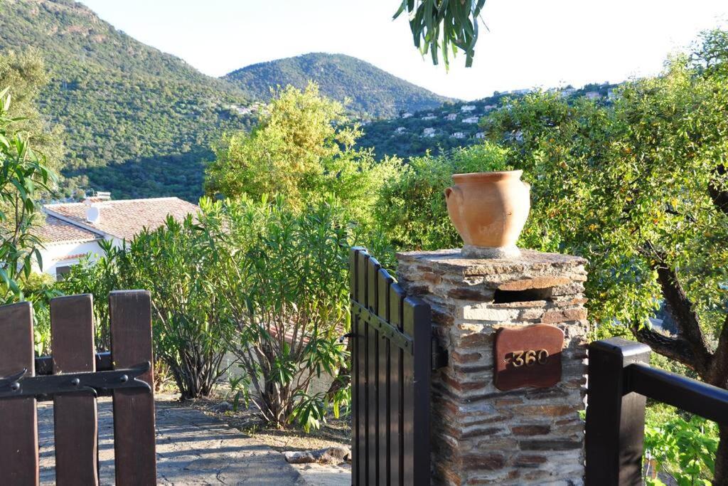 Villa Abeille : Douces Vacances D'Ete Avec Vue Mer Cavalaire-sur-Mer Eksteriør billede
