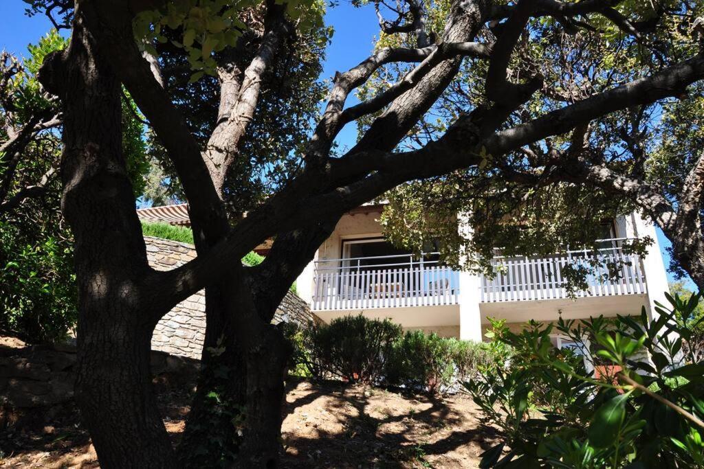 Villa Abeille : Douces Vacances D'Ete Avec Vue Mer Cavalaire-sur-Mer Eksteriør billede