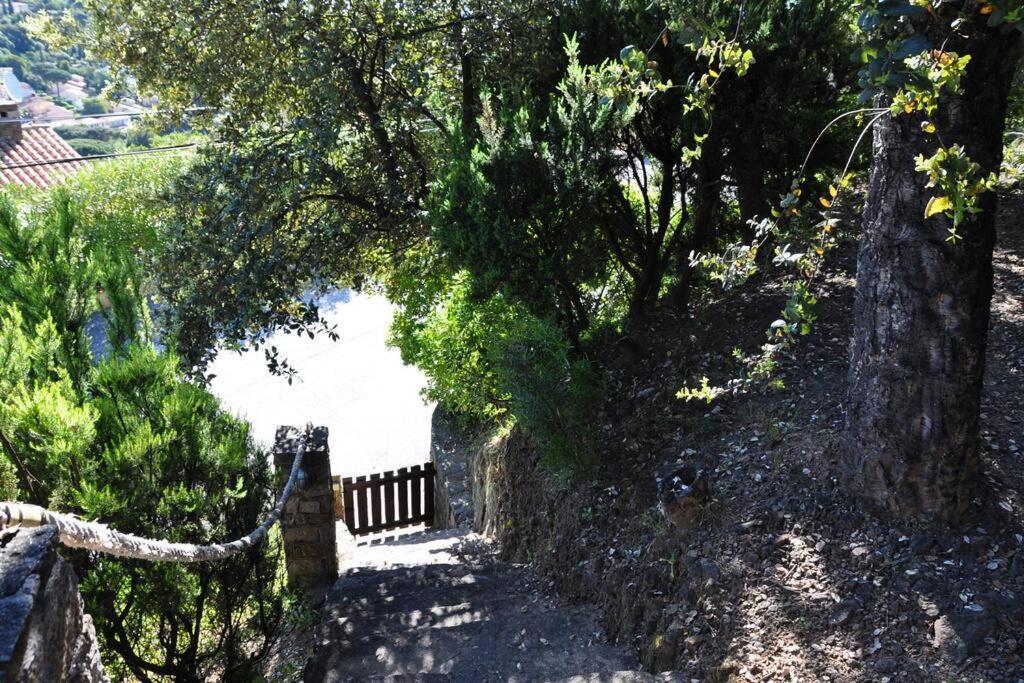 Villa Abeille : Douces Vacances D'Ete Avec Vue Mer Cavalaire-sur-Mer Eksteriør billede